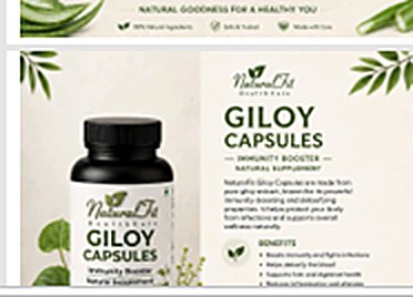 Giloy Capsules